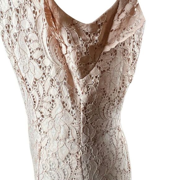 Zara Basic Collection Pink Lace Midi Dress Sleeveless Ruffle Trim Size M (040) - Picture 6 of 16